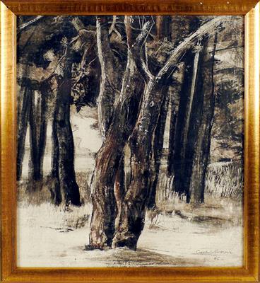 13aa0b91-7c52-4842-90b8-e07021a40760.jpg; PG 399; Bomenstudie; tekening