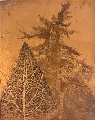 0db98d7d-3683-4cb8-a811-72a4eb9d0a43.jpeg; 2025.2.1; Copper Plate for “Solstice, Trees and Ice” by Victoria Crowe ; Intaglio plate