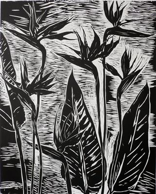 2008.122_crop.jpg; 2008.122; Strelitzia; Woodcut