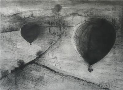 2008.264_crop.jpg; 2008.264; Avocofields; Etching