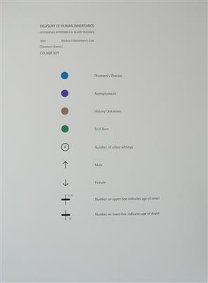 2008.305.1_crop.jpg; 2008.305.1; 1050 Martins & Hansemann's Case; Screenprint