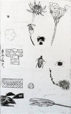 2008.49_crop.jpg; 2008.49; Beetles and Flower Heads; Etching