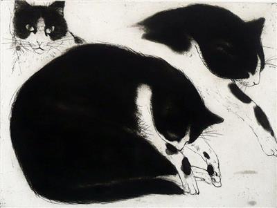 2008.51_crop.jpg; 2008.51; Black and White Cat; Etching