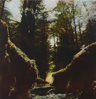 2008.541_crop.jpg; 2008.541; Drybed; Photo Etching