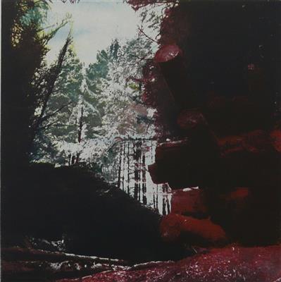 2008.544_crop.jpg; 2008.544; Sawcut; Photo Etching