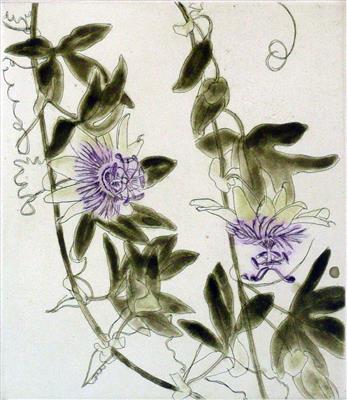 2008.92_crop.jpg; 2008.92; Passion Flower; Etching