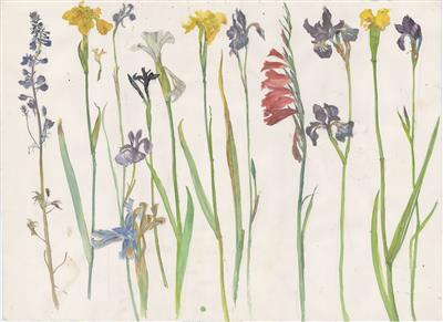 35cd9ff1-3705-43c8-afe3-4e4bc0f59bab.jpg; 2025.54; Drawing for 'Wild Flowers'; Drawing