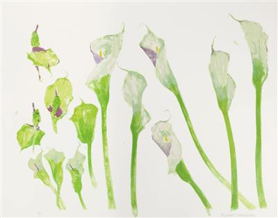 8edd991b-7942-41e0-8bde-23ad3f0e42ca.jpg; 2008.777; Arum Lilies, Zantedeschia Aethiopica (Proof) ; Lithograph