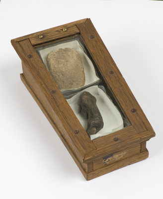 1889-0001-HHIa-b.jpg; 1889-0001-HHI/a-c; Gemummificeerde tong en vinger van de gebroeders De Witt.; lichaamsdelen