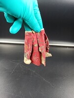 1960-0286-KPO-121a.jpg; 1960-0286-KPO/121; Rood jasje van katoen; miniaturen