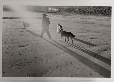 2010-0007-PRE.jpg; 2010-0007-PRE; Man wandelt met 3 honden op het strand; fotografie