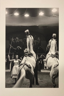 2010-0120-PRE.jpg; 2010-0120-PRE; Twee paarden in het circus; fotografie