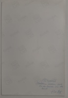 2012-0010-PRE-v.jpg; 2012-0010-PRE; Wassen in de teil in Fier, Albanië; fotografie