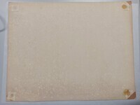 2012-0015-TEKa.jpg; 2012-0015-TEK; Menigte mensen bij de Grote Kerk te Den Haag; stadsgezicht