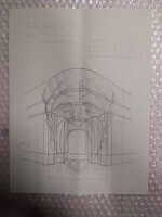 2013-0027-HHIc2.jpg; 2013-0027-HHIc; Ontwerp voor tijdelijke decoratie van de gevel van apotheek Nettesheim; ontwerptekeningen