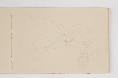 2de07d9e-95c4-4fdb-bdf6-854caca1bc5e.jpg; 2013-0009-TEK/08; Tekening uit een schetsboek van Alexine Tinne, reizen in Europa.; schetsboeken