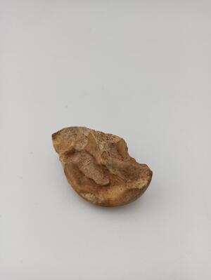 370c059f-f93e-4bfa-a43f-be3103f5eecb.jpg; 356.14; Botje; bot (materiaal)