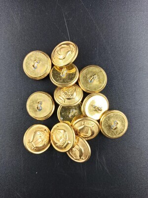 38009e19-d174-4d3c-ac0f-bcc83024e7b7.jpg; 0000-0096-MMO/1-13; Dertien goudkleurige knopen voor op een kostuum van een fanfare; knopen (bevestigingsmiddelen)