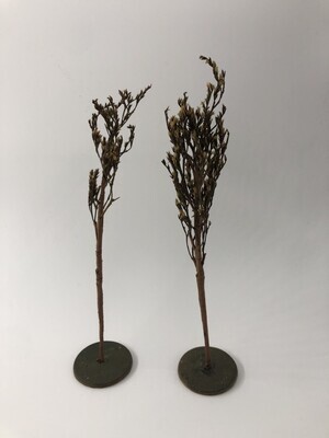 3becdbac-3682-44ad-a36b-ebfd15a1b7c3.jpg; 0000-0135-KPO/a-b; Twee bomen; miniaturen