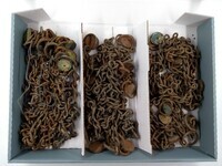 5a005c9b-420a-4930-aca6-4050f516c34d.jpg; 346/1-15; Kettingen; kettingen