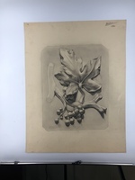 6d55847f-17fe-488d-a9b7-a2de047de5ad.jpeg; 2017-0001-TEK/41-103; 63 tekeningen van Tiny Büller; tekeningenmap