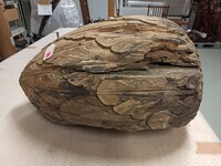 71788de8-554b-4f26-9a76-c3f4f710ad9c.jpg; 2021-0001-OHO; Pijnappel van het dak Paleis Noordeinde; ornamenten