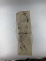 72dcbbc6-8e44-44c3-afb0-7edbf69fd8b2.jpeg; 2017-0001-TEK/2-40; 39 tekeningen van Tiny Büller; tekeningenmap