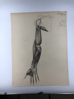 9de9bd90-37fc-4287-8b99-4568b1f8fabd.jpeg; 2017-0001-TEK/2-40; 39 tekeningen van Tiny Büller; tekeningenmap