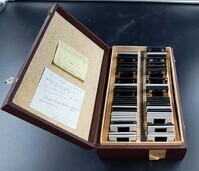 Berssenbrugge_doosA_open.jpg; 2010-0126-PRE/a; Coolsingel Rotterdam
; stereofoto's