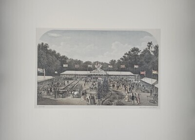 af326835-61a6-4afe-928a-1a1087dadcd2.jpg; 1956-0201-PRE; Tentoonstelling bij de viering van het 25-jarig bestaan der Holl. Mij van Landbouw.; prenten