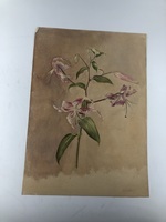 b05964b0-1f1d-4274-88da-742ed7aaa735.jpeg; 2017-0001-TEK/2-40; 39 tekeningen van Tiny Büller; tekeningenmap