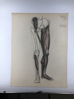 e1986c7b-aaf7-418d-a3e8-4a9fcbea8451.jpeg; 2017-0001-TEK/41-103; 63 tekeningen van Tiny Büller; tekeningenmap