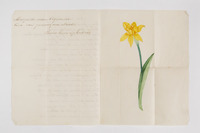 f4f24460-6a3a-4b30-ae11-76f1128c6bac.jpg; 2013-0041-TEK; Gedicht en tekening van Alexine Tinne; gedichten