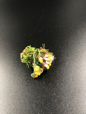 f689d4e1-a620-46e1-935e-e8d82e0ea6cd.jpg; 1960-0000-KPO/085; Boeketje verschillende bloemen; bloemen (planten)