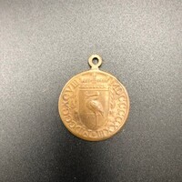 f9ca10b4-cd99-42b5-b8be-e7280e3fe86a.jpg; 1980-0005-PEE; Het 25-jarig regeringsjubileum van Wilhelmina, koningin der Nederlanden; onderscheidingen (eretitels)