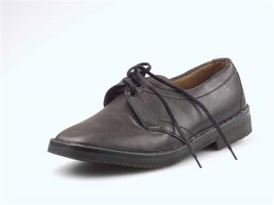 04494.jpg; 04494; veterschoen met derbysluiting; derbymolière