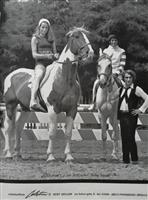 07450.2.jpg; 07450; Elastische overknee laars met borduurwerk van metaaldraad en imitatieparels; cuissarde