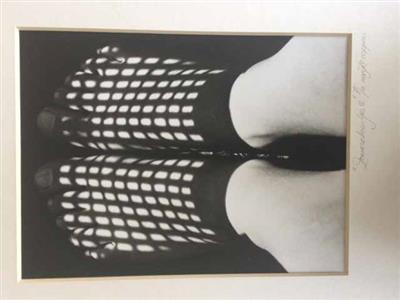 85099.jpg; 85099; Zonneschoentjes 5 (1); foto