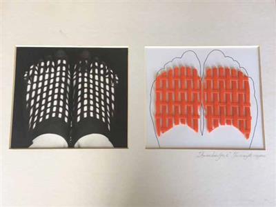 85100.jpg; 85100; Zonneschoentjes 5 (2); foto