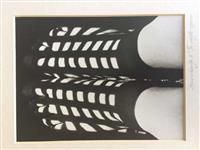 85101.jpg; 85101; Zonneschoentjes 6; foto