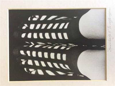 85101.jpg; 85101; Zonneschoentjes 6; foto