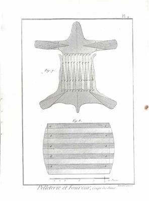 85111.jpg; 85111; 'Pelleterie et Foureur, Coupe des Peaux'. Plaat 4; prent