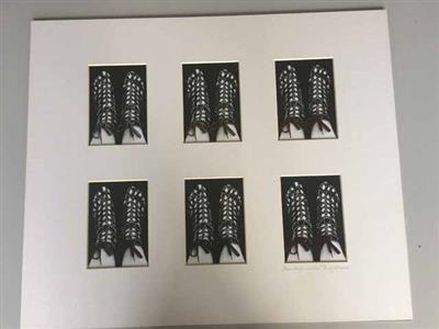 85170.jpg; 85170; "Zonneschoentjes met veters"; foto