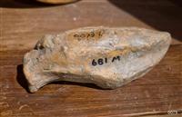 0cdca212-8b87-4136-839e-8990fb73915f.jpg; 0079; stempel vismotief; stempel