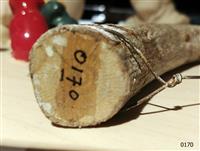 84d6f75d-a597-40d3-81d2-d4db374ea8a1.jpg; 0170; Snijdraad op boog; snijdraad