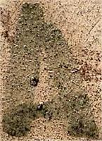 CE0097a1.jpg; CE0097; ;