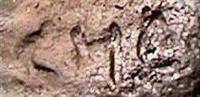 CE0188a1.jpg; CE0188; Kruis grès, 37x24 cm; kruisbeeld
