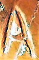 CE0583a3.jpg; CE0583; gemzenbok; sculptuur