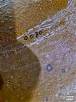 a54057a9-3813-40b9-bf88-765af6338a17.jpg; 0070; inmaakpot; pot