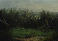 ;
